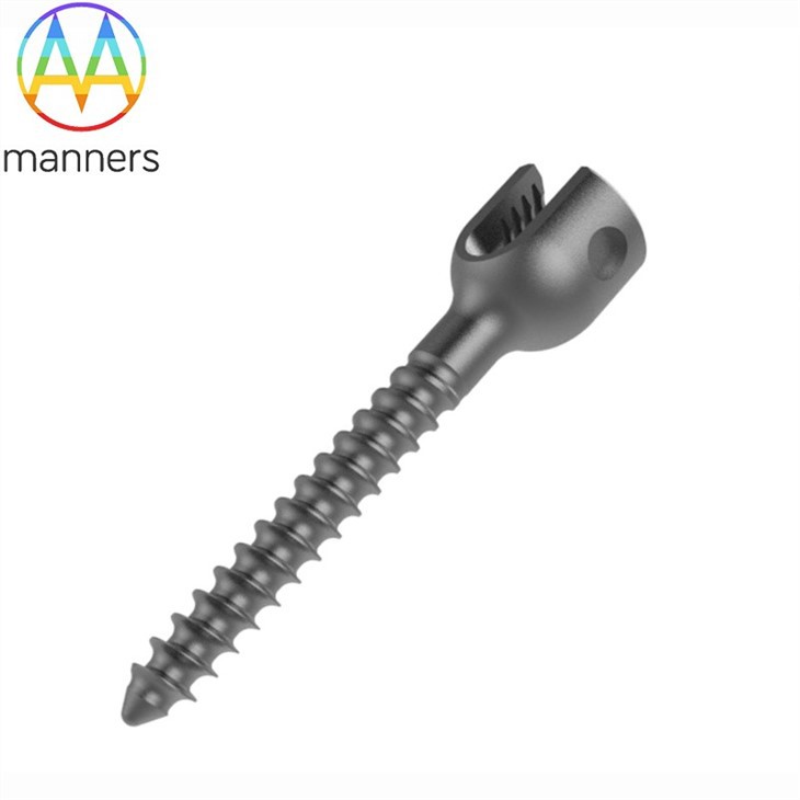 Spine Titanium Polyaxial Pedicle Screws