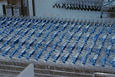 Fra nyrecyster til fremtiden - Anvendelsesmuligheder og teknisk udvidelse af ...